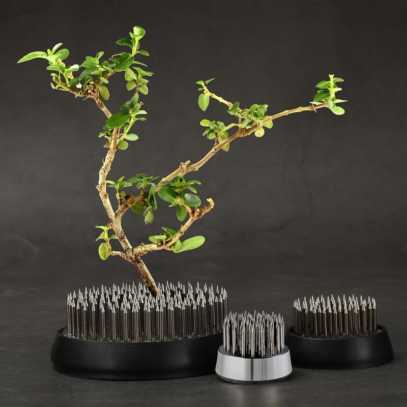 iziusy 3 Pcs Flower Frogs Flower Arranger Frog Floral Frogs Kenzan Flower Frog Vase Pin Holder Ikebana for DIY Flower Craft Plant Decoration - Image 2